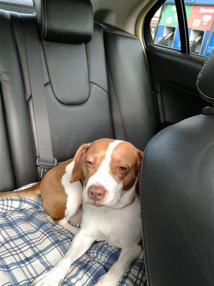 Miss Roxy